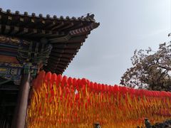 -护国法轮寺