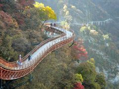 -少华山国家森林公园