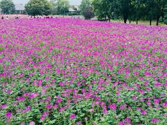 -江苏三台山国家森林公园