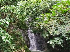 -宁波市保国寺古建筑博物馆