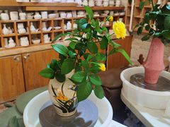 -今日陶艺(富力广场店)