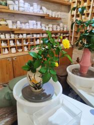 -今日陶艺(富力广场店)