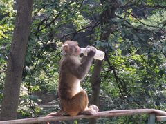 -黔灵山公园