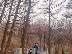 -崂山巨峰游览区