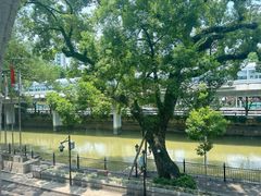 -广东胜利宾馆西关粤中餐厅