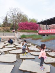 -大望京儿童游乐场