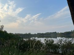-东郊湿地公园