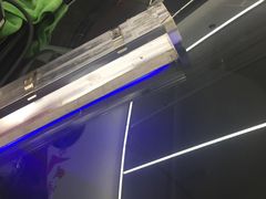 -鲨鱼皮汽车凹陷玻璃修复(静安店)