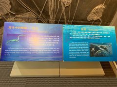 -辽宁古生物博物馆
