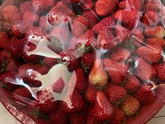 -江杨农产品批发市场