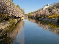 -元大都城垣遗址公园