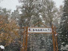 -汤旺河林海奇石景区