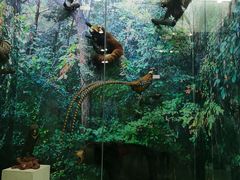 -国家自然博物馆