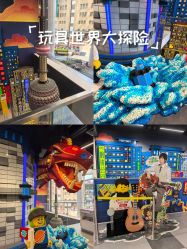 -乐高品牌旗舰店(人民广场店)