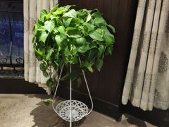 -小柴米·传统江西菜(万寿宫店)