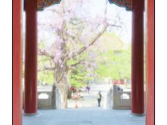 -北京国子监胡同