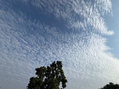 -宜兴龙背山森林公园