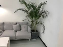 点击看大图 -T8 SALON