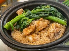 鲍鱼汁排骨煲仔饭-香港威特瑞茶餐厅(小白楼音乐厅店)