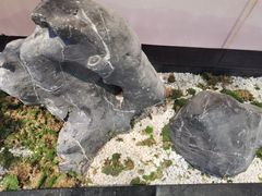 -马家斑.鲜鱼火锅(松湖万科店)