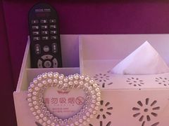 -天鹅恋