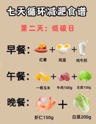 -Fundi张玉珊修身堂·indiba·BTL科技瘦身