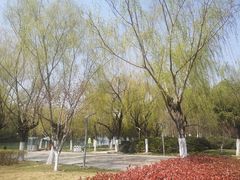 -天鹅湖体育公园