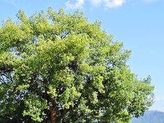 -东钱湖旅游度假区