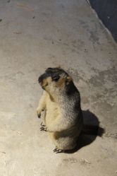 -酷嗒动物文化乐园(cutezoo西溪乐天城店)