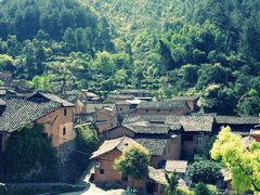 -杨家堂村