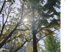 -张家湾·膳蹄(迎宾店)