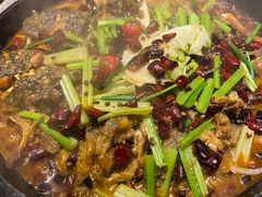 -老板恋上鱼(恒隆广场店)