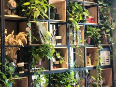 -ZING COFFEE 镜咖啡