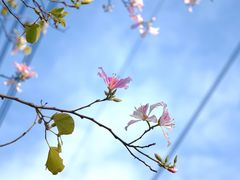 -南丰汇(新港东路店)