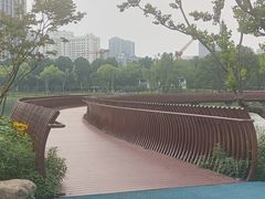 -后襄河公园
