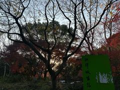 -西湖风景区-江洋畈生态公园