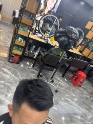 -藤野造型