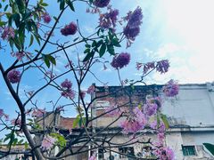 -同古舍博物馆酒店(江南西店)