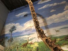 -自贡恐龙博物馆