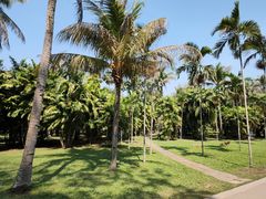 -中国科学院西双版纳热带植物园