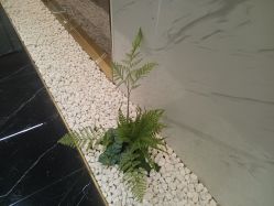 -铂诗玥医美