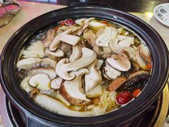 -蘑统田下·野生菌火锅