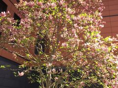 -禧粤港式烧腊点心