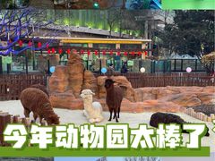 -大连森林动物园