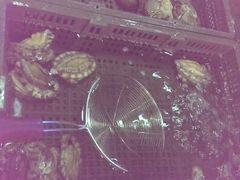 android_upload_pic-渔家海鲜舫(宝湖路店)