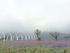 iphone_upload_pic-紫云台香草园