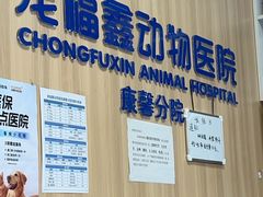 -宠福鑫康馨动物医院·骨科·眼科