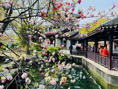 -无锡蠡湖国家湿地公园-蠡园