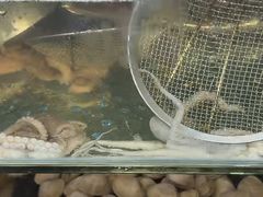 -仙螺岛海鲜自助餐厅(总店)