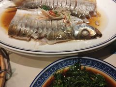 -苏城小院·园林精致苏州菜(斜塘老街店)